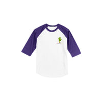 Sport-Tek® Colorblock Raglan Jersey