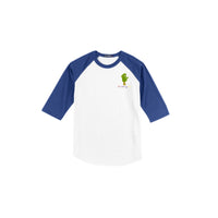 Sport-Tek® Colorblock Raglan Jersey